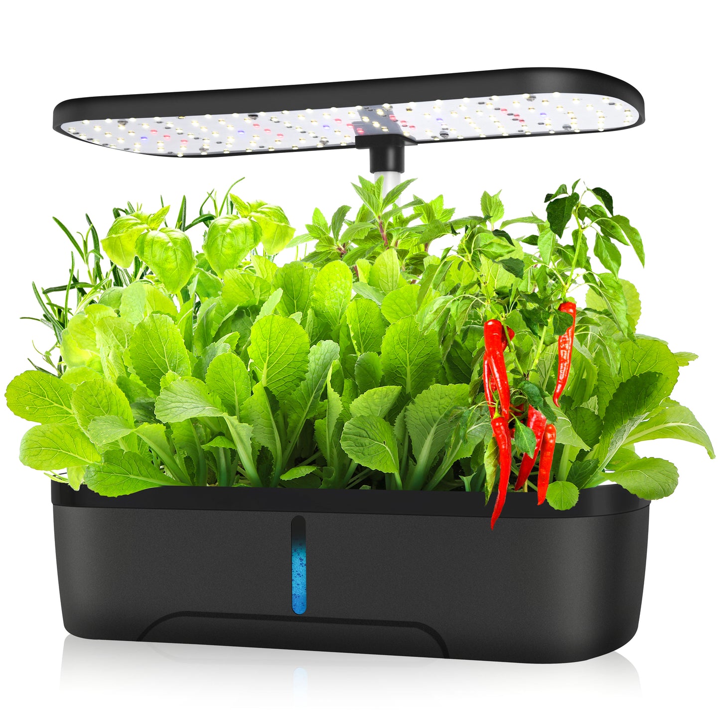 harvest joy joy lite 02