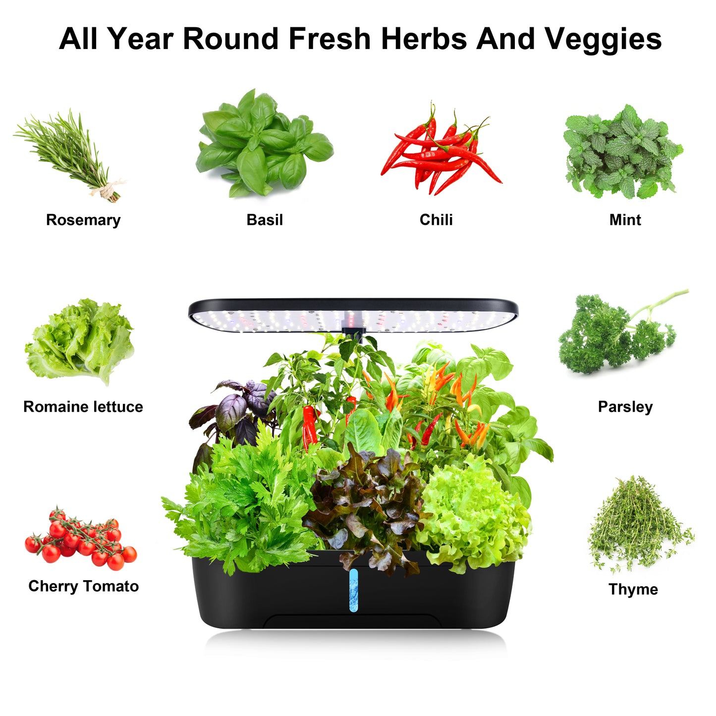 all year round fresh herbs and veggies