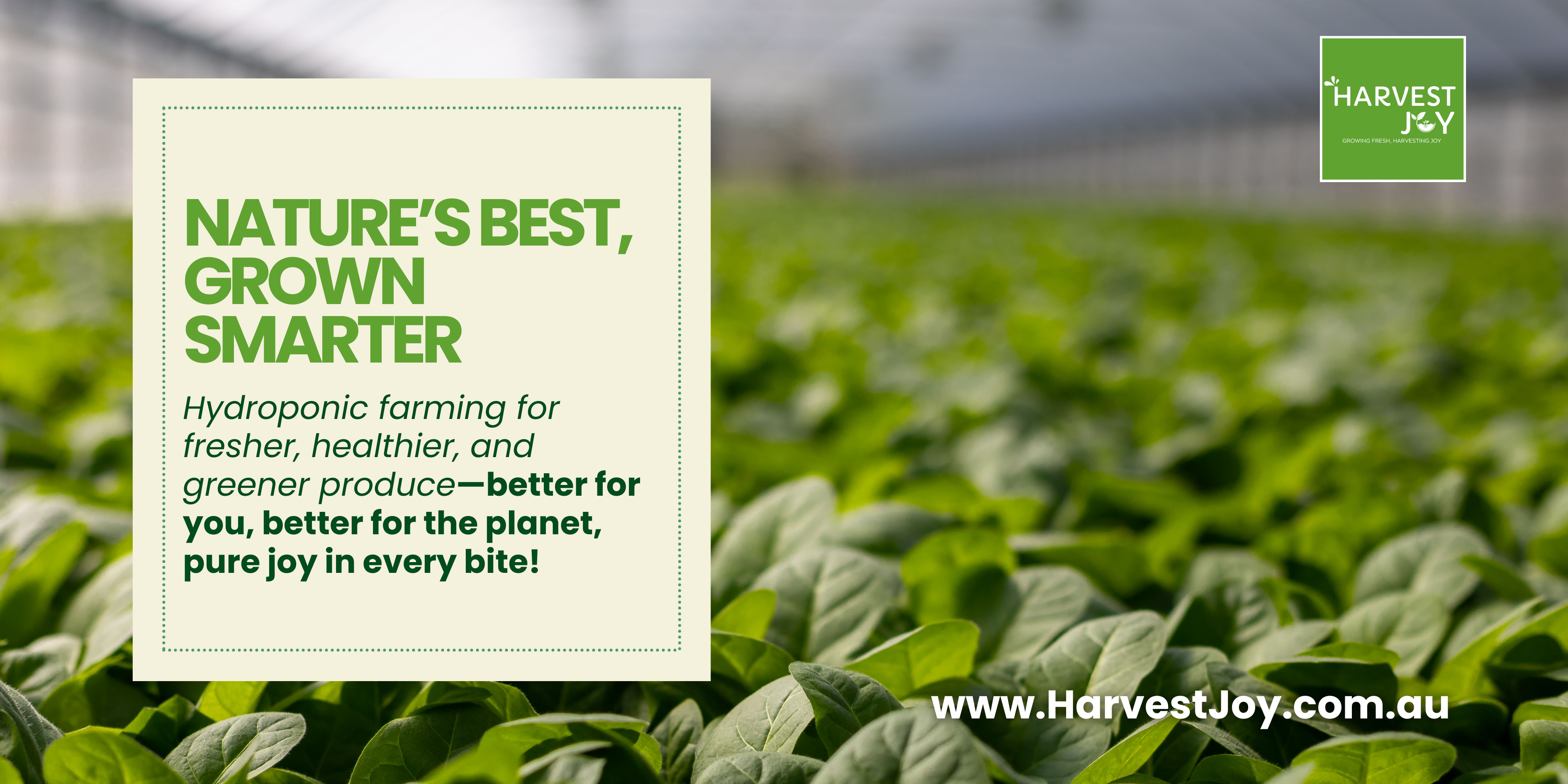 Hydroponic farming for fresh, healthy, eco-friendly produce—smart and sustainable.