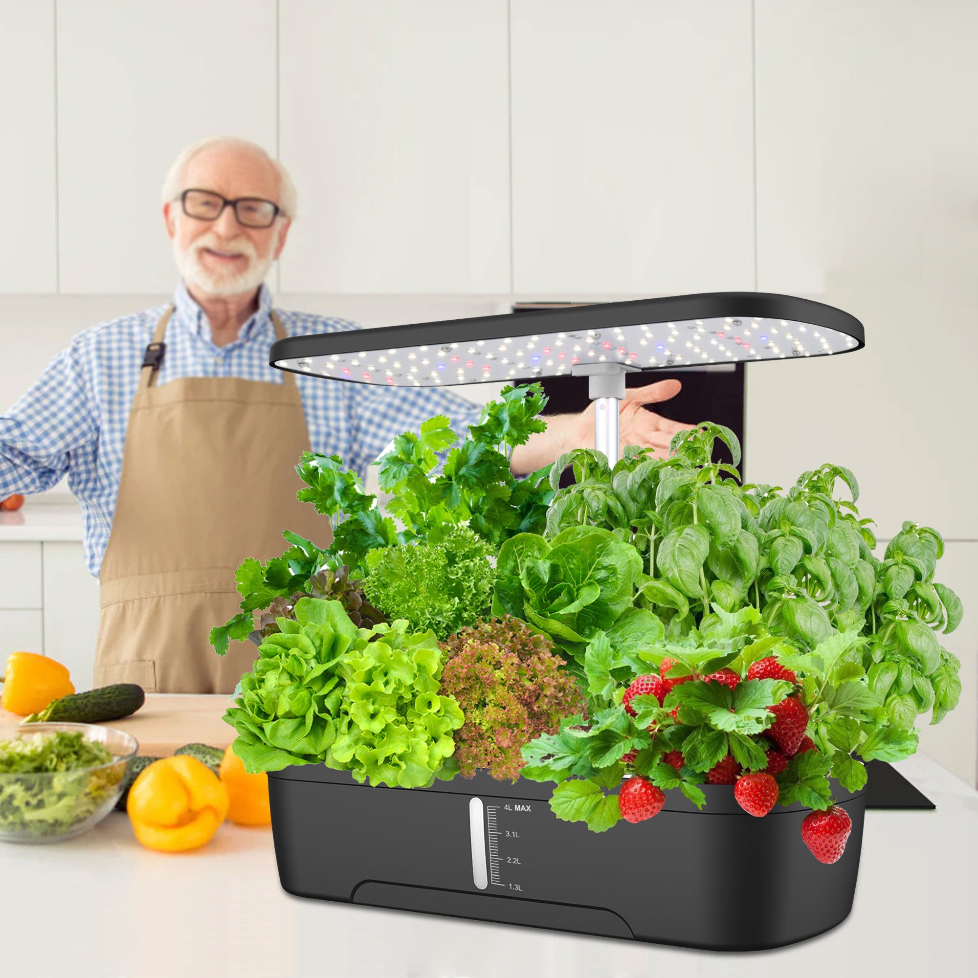 hydroponics perfect for any space