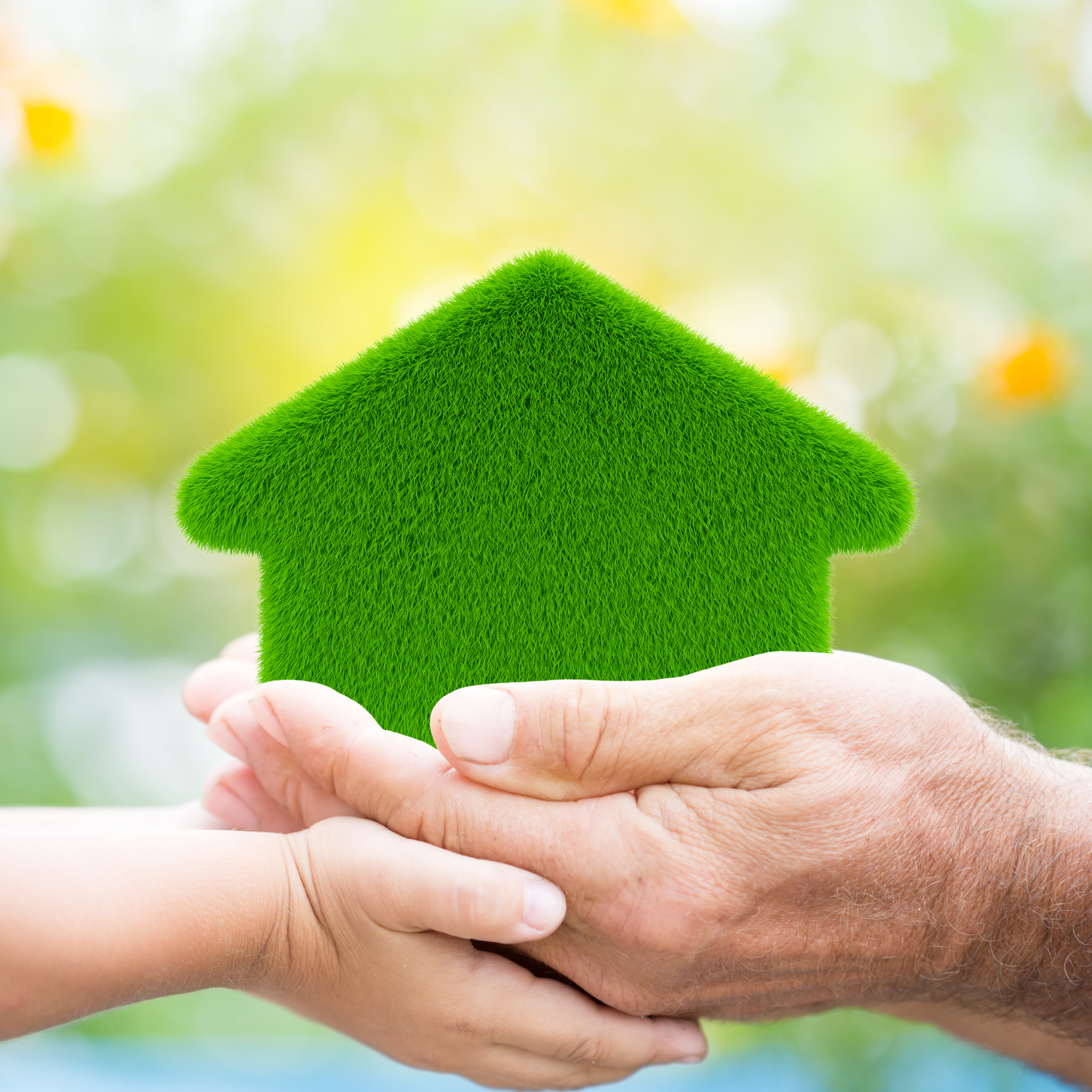 eco-friendly & sustainable