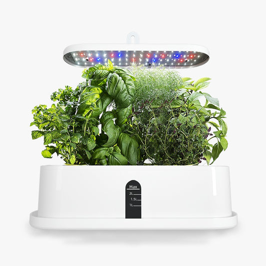 harvest joy hydroponics 